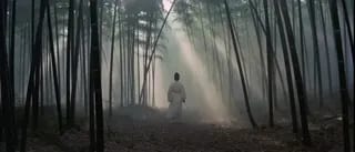 胡金铨风格武侠电影美学视频提示词