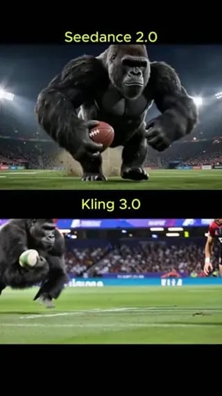 Rugby Match: Humans vs. Silverback Gorillas