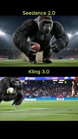 Rugby Match: Humans vs. Silverback Gorillas