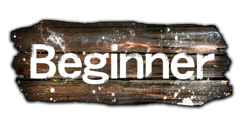Beginner