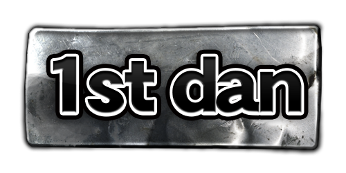 1st Dan