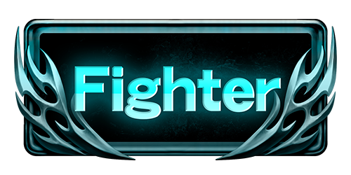 Fighter